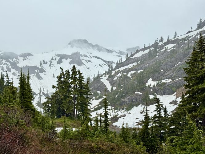 View of Table Mountain from the trail