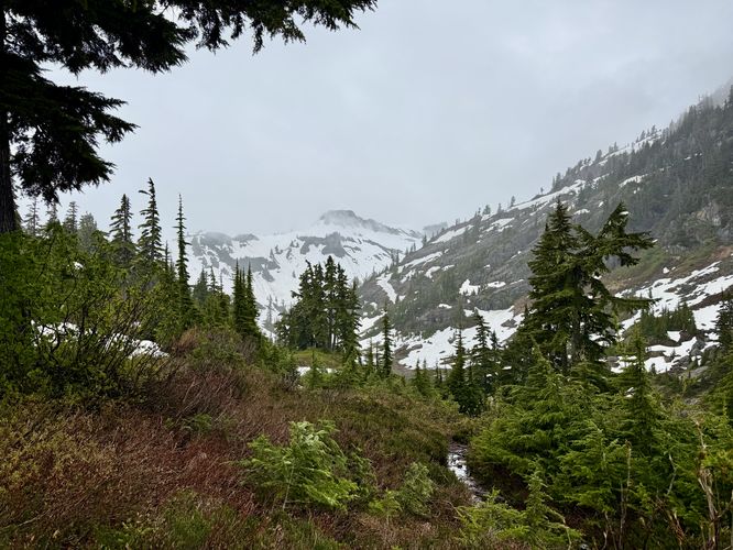 Picture 6 of Heather Meadows and Bagley Lakes Hike