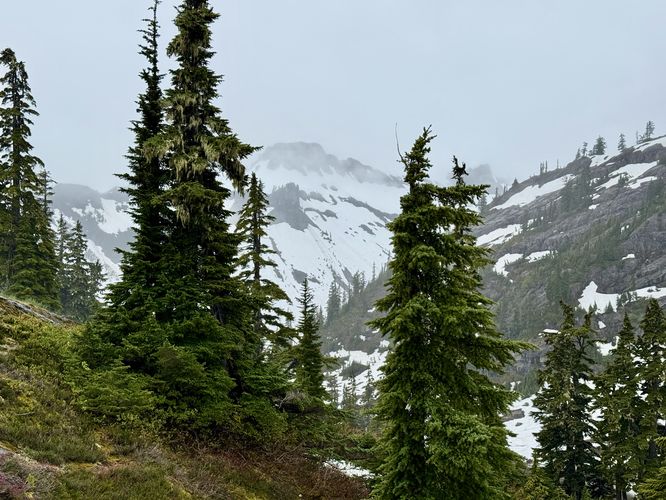 Picture 8 of Heather Meadows and Bagley Lakes Hike