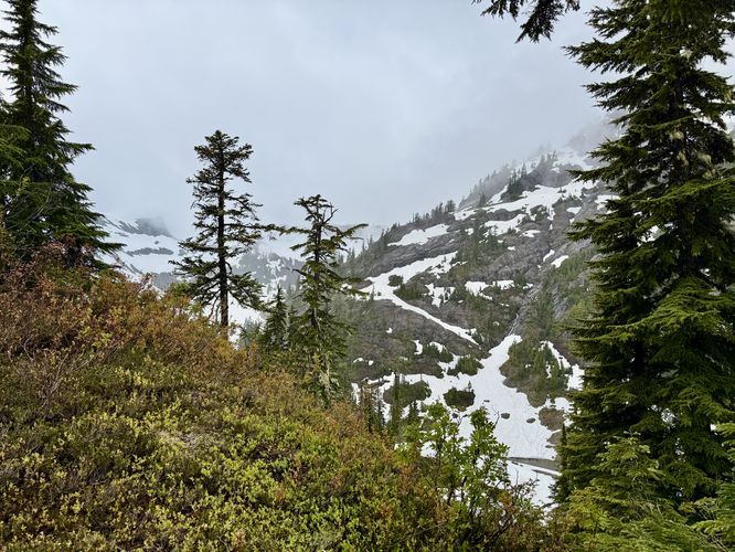 Picture 15 of Heather Meadows and Bagley Lakes Hike