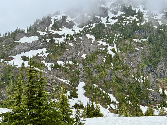 Picture 18 of Heather Meadows and Bagley Lakes Hike