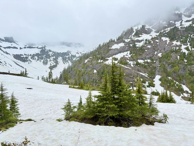 Picture 19 of Heather Meadows and Bagley Lakes Hike