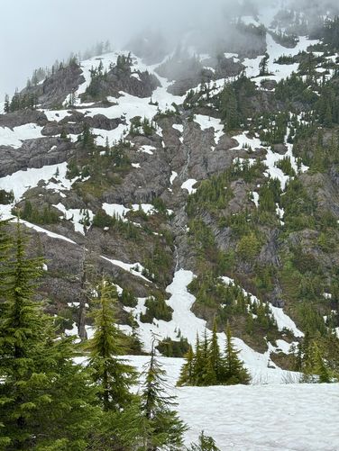 Picture 21 of Heather Meadows and Bagley Lakes Hike