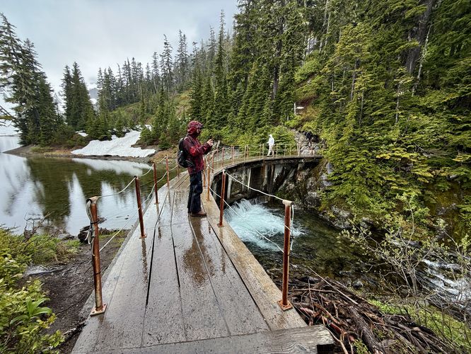 Bridge over Bagley Creek