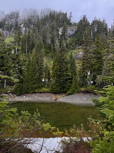 Picture 29 of Heather Meadows and Bagley Lakes Hike