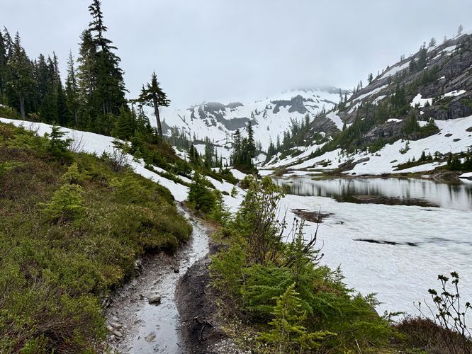 Picture 27 of Heather Meadows and Bagley Lakes Hike