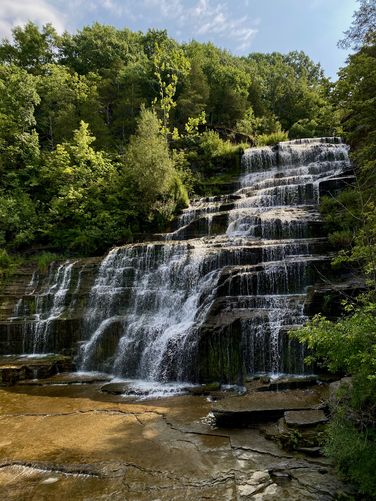 Portrait of Hector Falls in Burdett NY