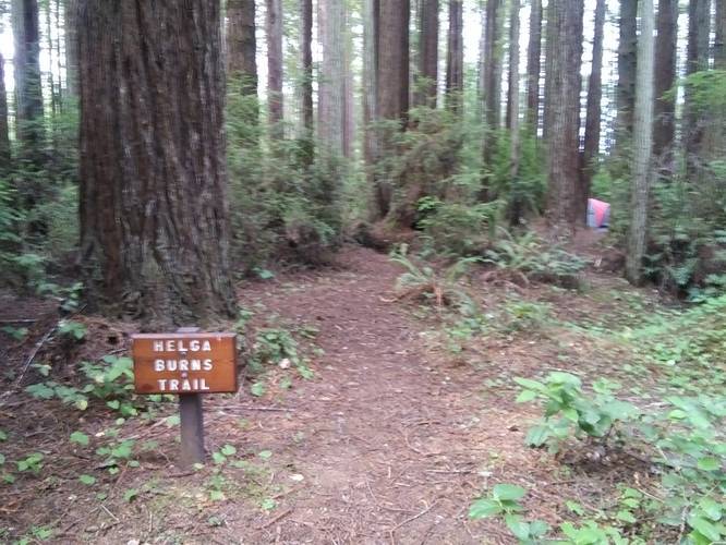 Picture 1 of Helga Burns Trail 