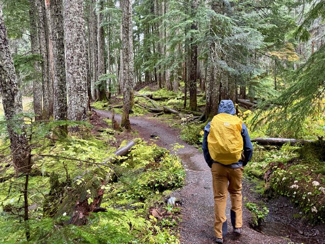 Picture 5 of Heliotrope Ridge Trail to Coleman Glacier