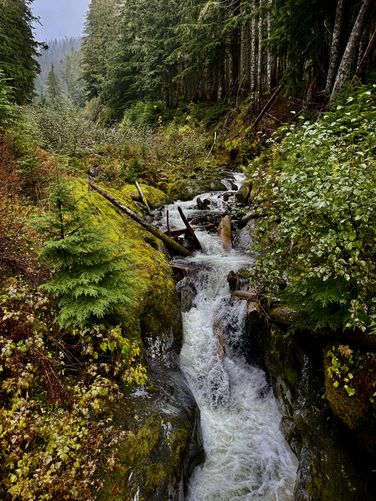 Grouse Creek Falls w/bridge crossing