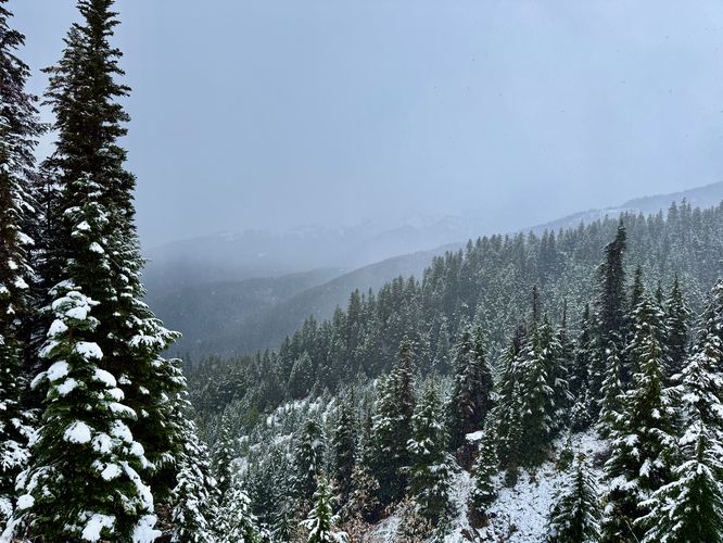 View of the North Cascade mountains from Mt. Baker