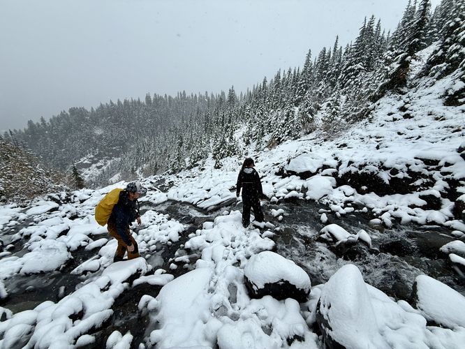 Crossing Heliotrope Creek