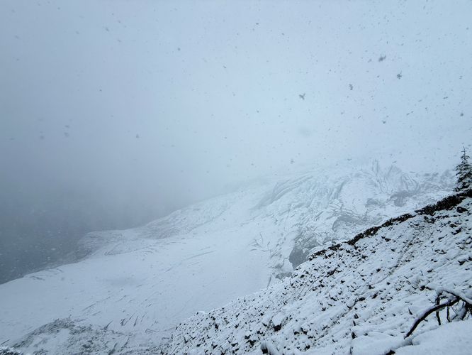 Picture 30 of Heliotrope Ridge Trail to Coleman Glacier