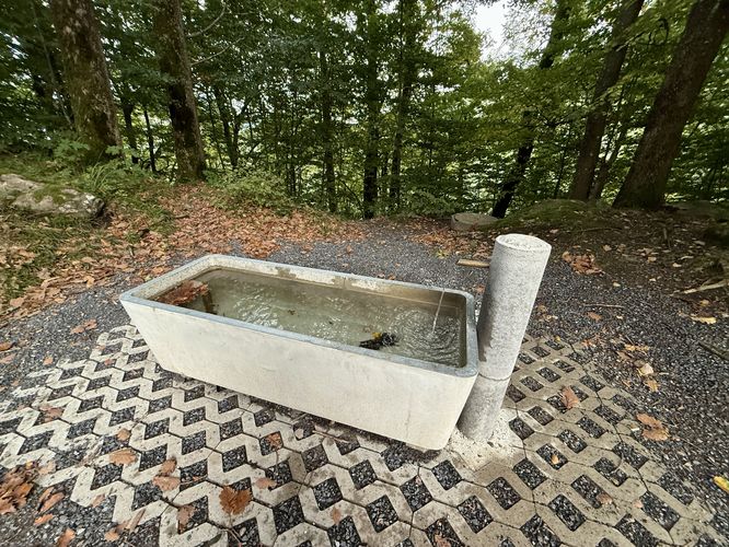 Water trough (filterable)