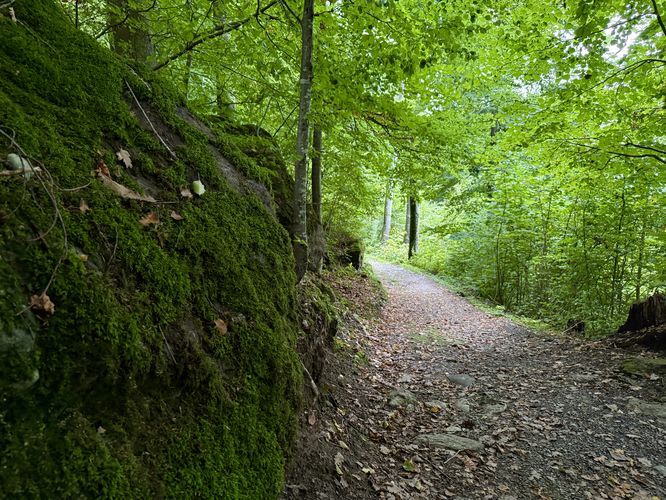 Moss-covered ledges along the trail