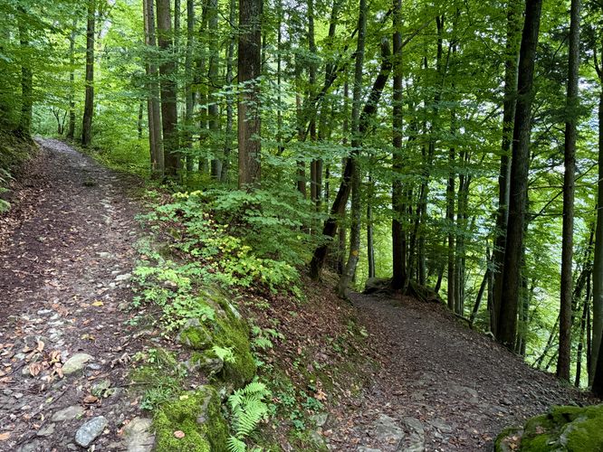 Keep-right at the fork