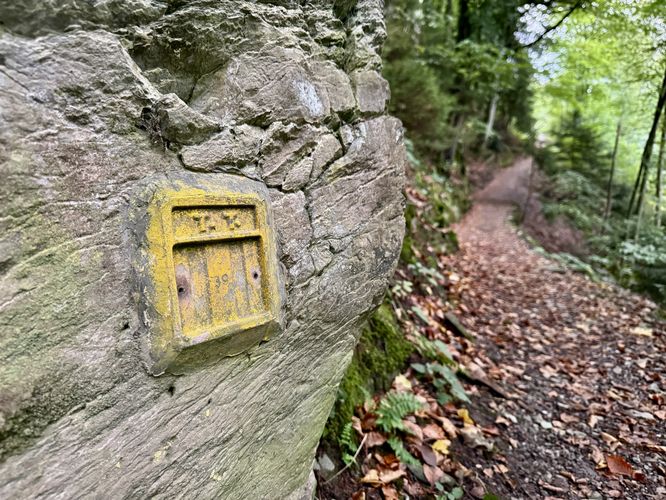 Picture 22 of Helsana Trail