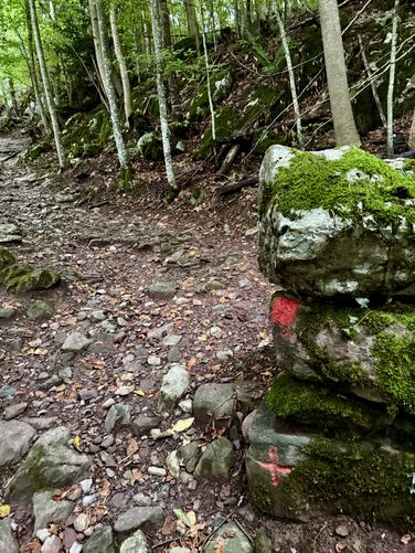 Follow red blazes uphill