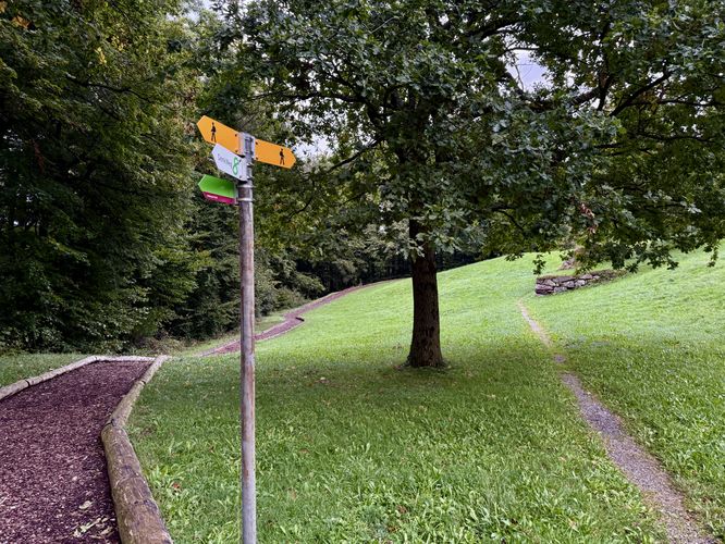 Helsana Trail runs through the meadow