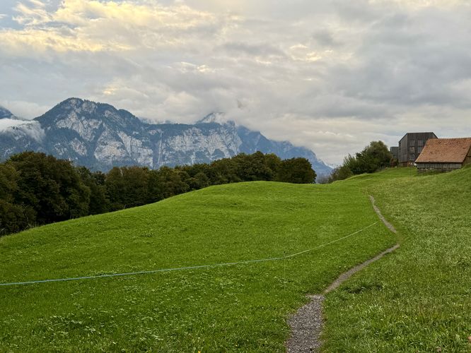 East view along the Helsana Trail