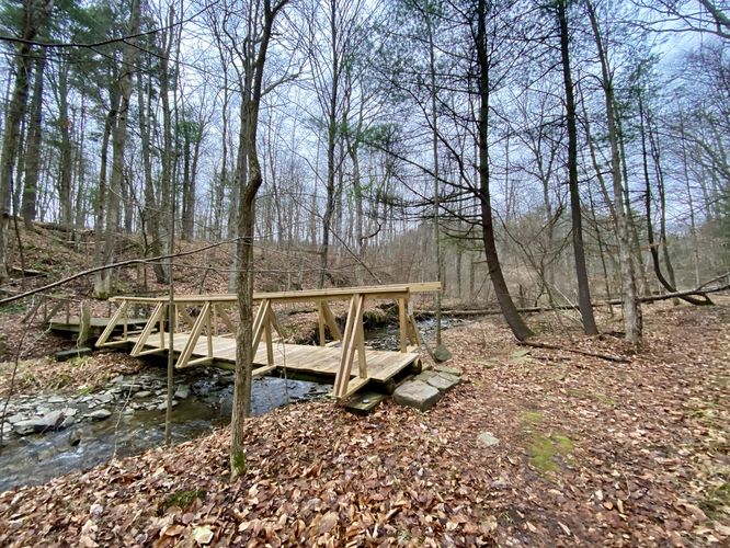 Footbridge crosses Hoffman Creek (trailhead for the Scout Trail)