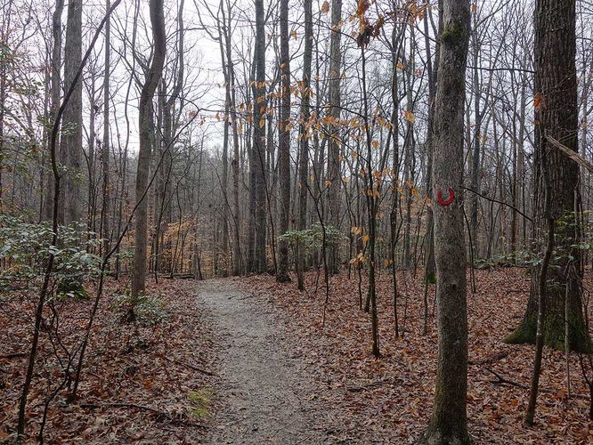 Picture 4 of Hemlock Overlook Hike 011616