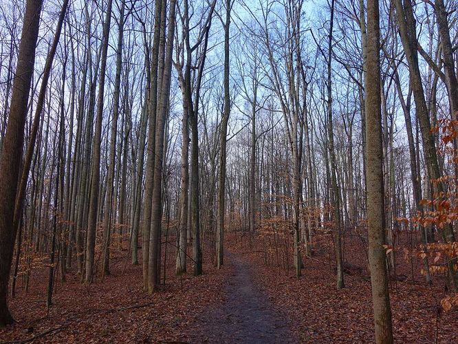 Picture 6 of Hemlock Overlook Hike 011616