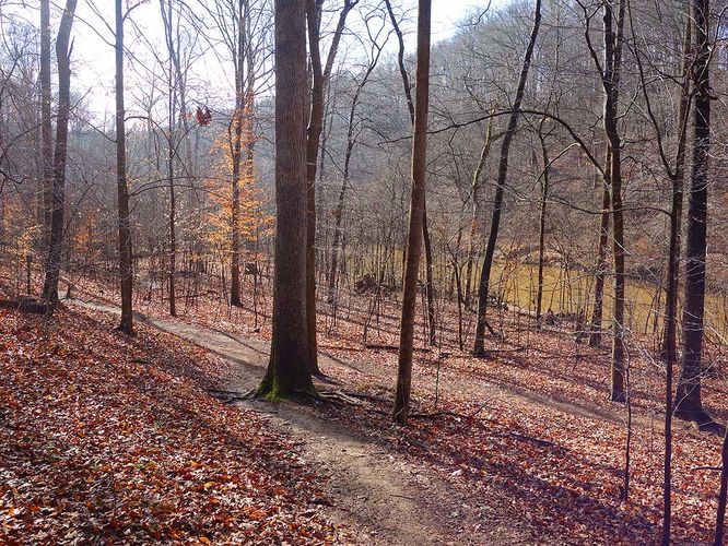 Picture 7 of Hemlock Overlook Hike 011616
