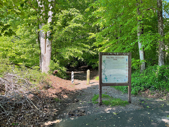 Picture 2 of Hemlock Overlook Hike 051822