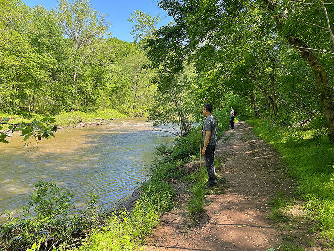 Default image for Hemlock Overlook Hike, a 3.3-mile trail in Clifton, VA (US)