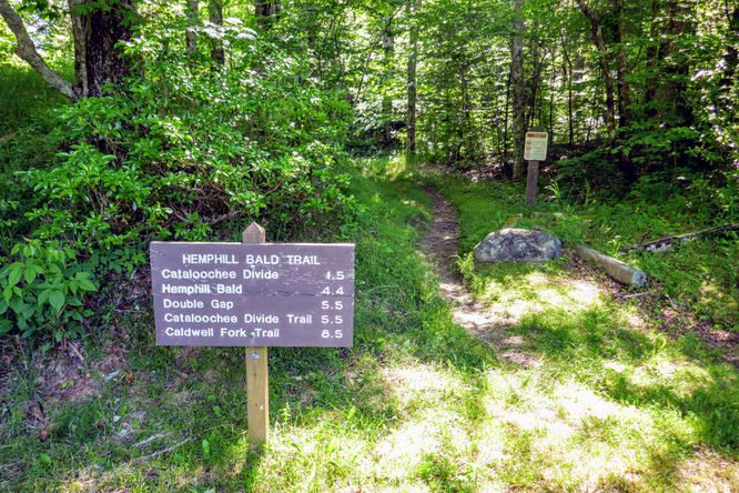 Picture 37 of Hemphill Bald Hike 061618