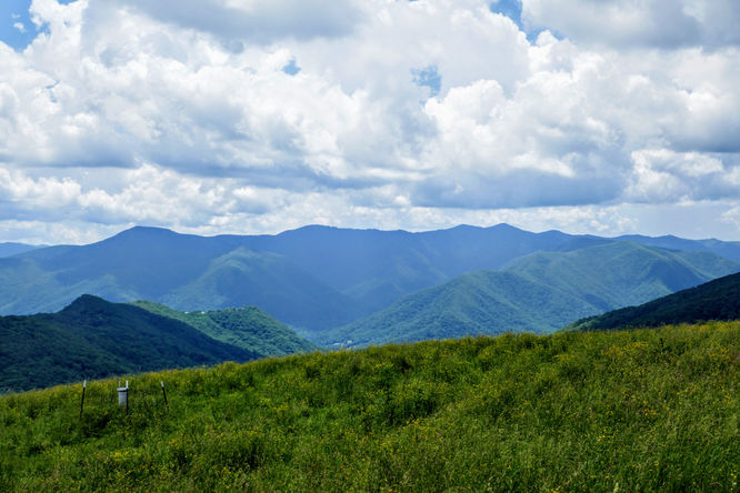 Picture 19 of Hemphill Bald Hike 061618