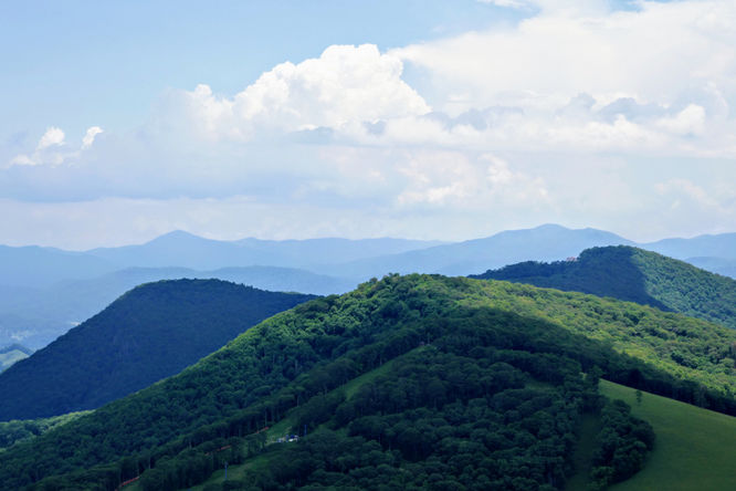 Picture 20 of Hemphill Bald Hike 061618