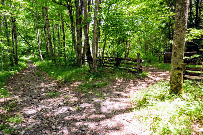Picture 23 of Hemphill Bald Hike 061618