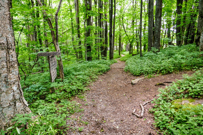 Picture 24 of Hemphill Bald Hike 061618