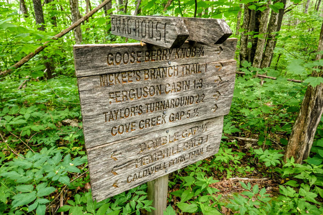 Picture 25 of Hemphill Bald Hike 061618