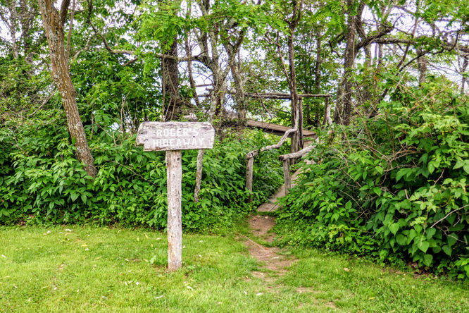 Picture 2 of Hemphill Bald Hike 061618