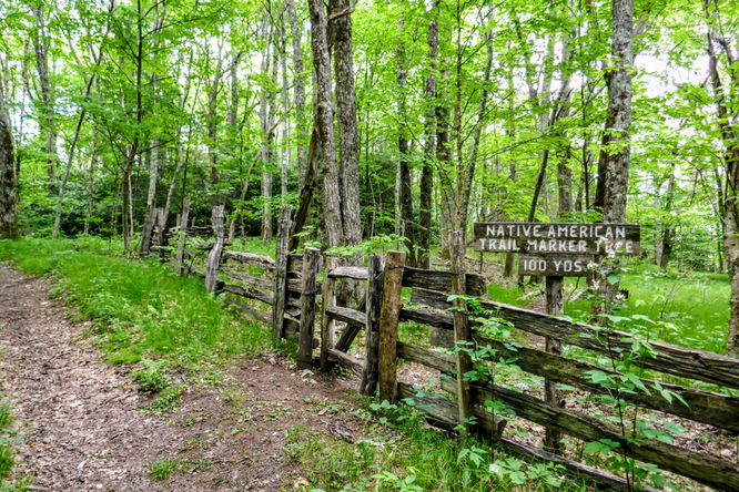 Picture 7 of Hemphill Bald Hike 061618
