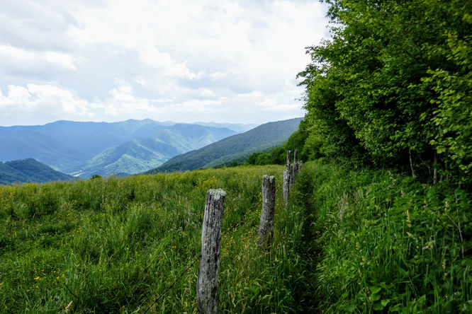Picture 41 of Hemphill Bald Hike 061618