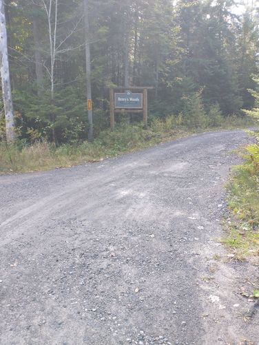Entrance to Henry's Woods 