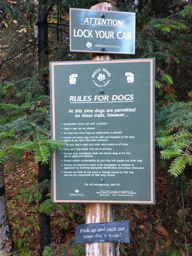 They are serious about dogs