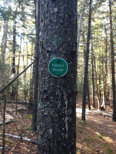 Trail blaze marker 
