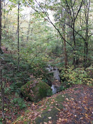 View after crossing the suspension bridge 