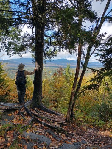 View from just below the summit 