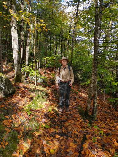 Fall foliage carpet the trail
