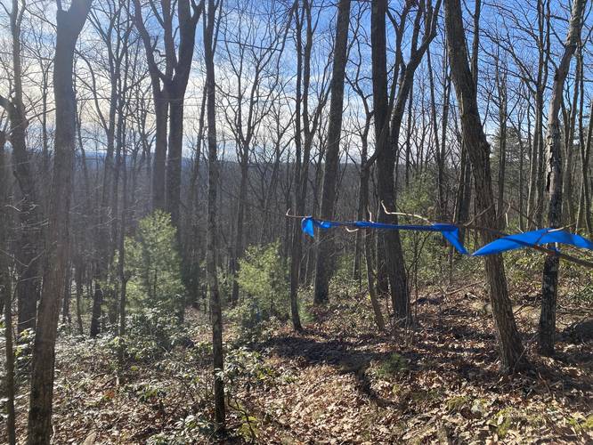 Blue ribbon hiking down Herrington Trail