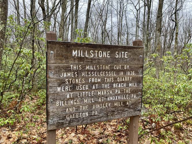 Picture 2 of Hessel Gessel quarry and millstone hike