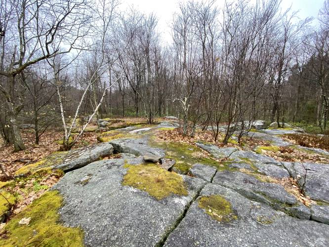 Top of old stone quarry