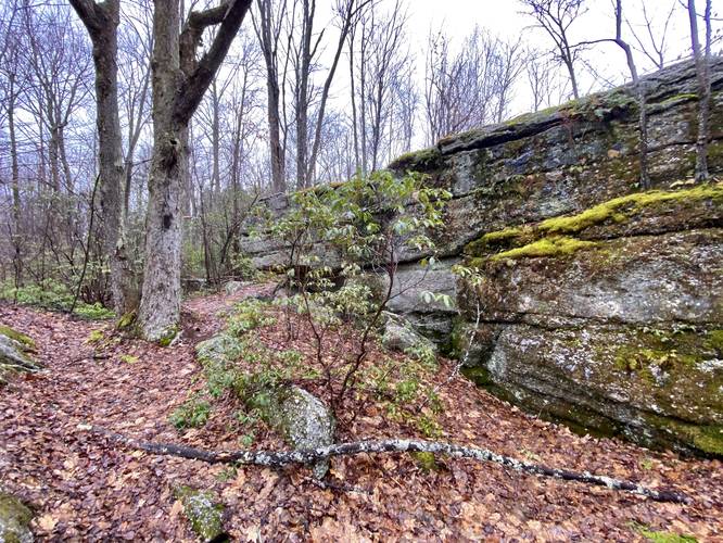 Picture 7 of Hessel Gessel quarry and millstone hike