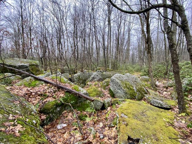 More boulders along trail outside quarry